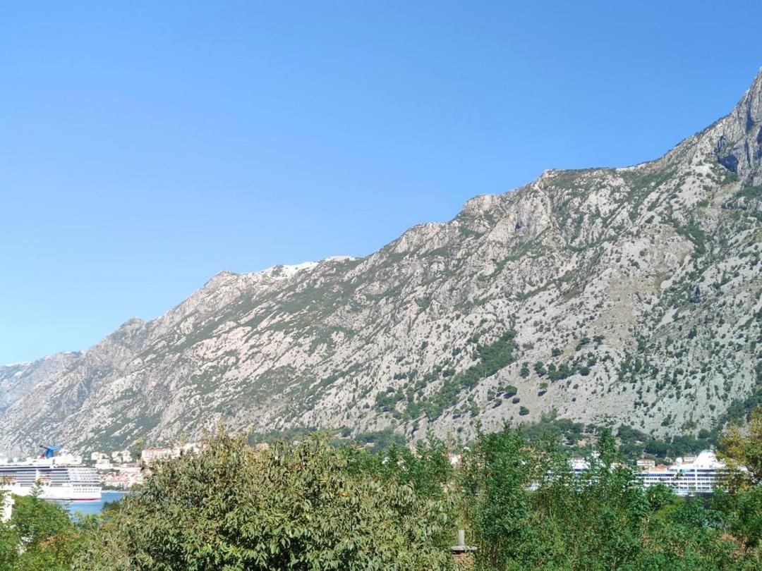 Dolcerosa