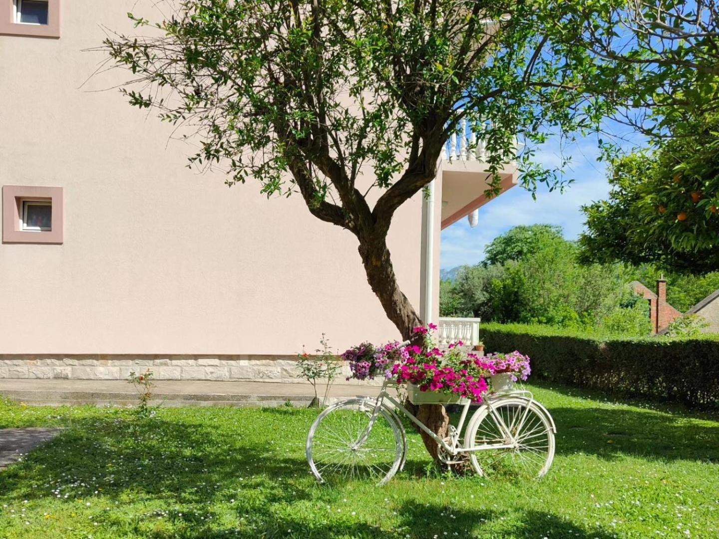 Dolcerosa Apartment